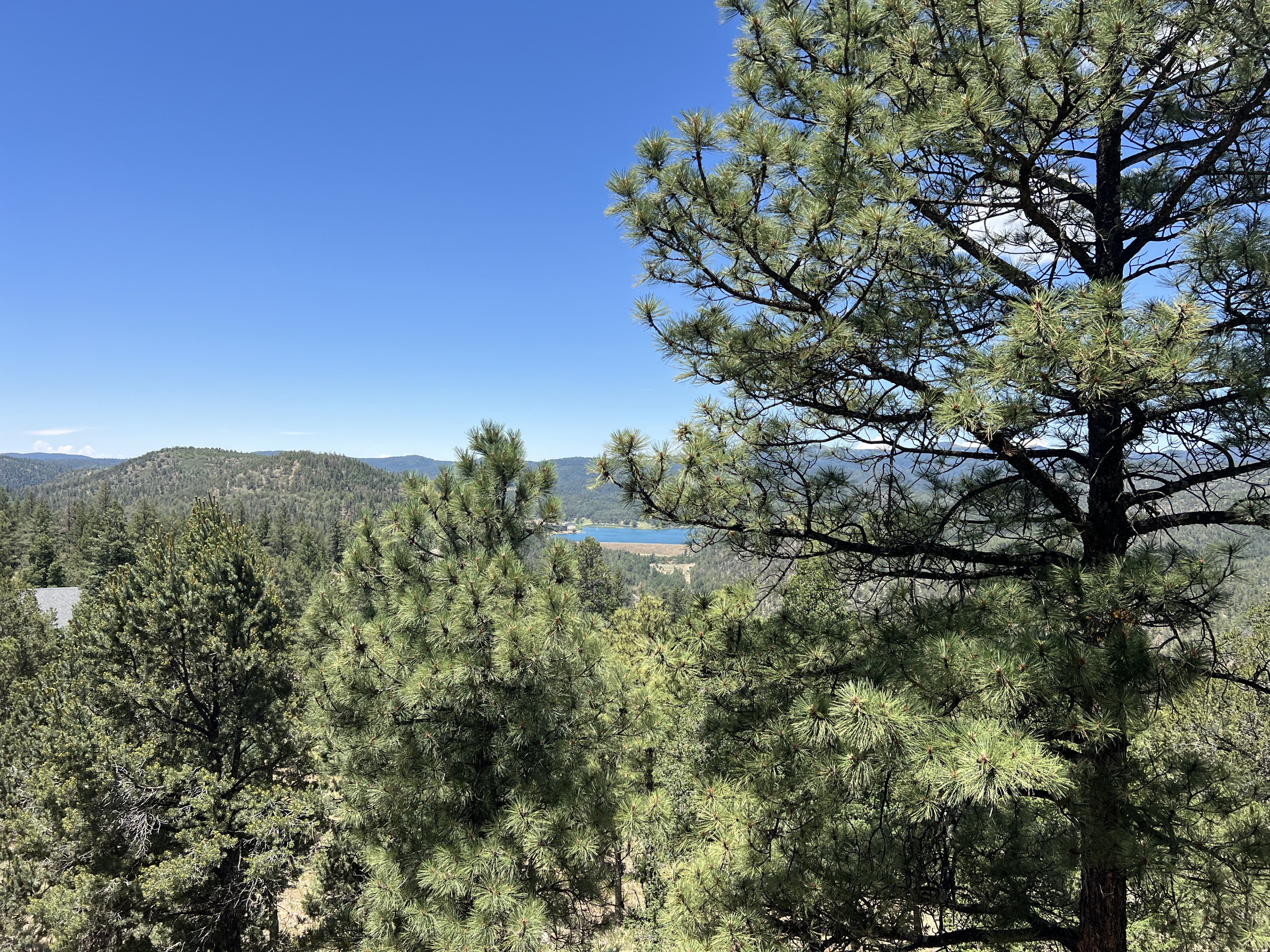 504 Excalibur Road - 902